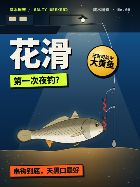 第一次夜钓花滑？带什么、怎么钓、怎么认
